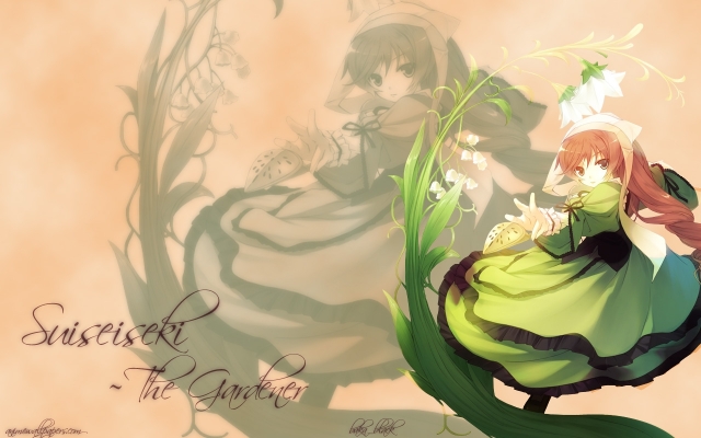   翠星石  Jade Stern
 Rozen Maiden Suiseiseki