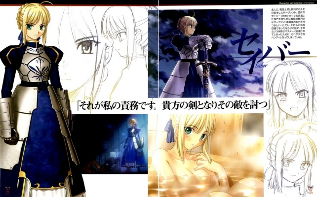 Fate/Stay Night
Fate Stay Night Premium Fanbook
 Fate Stay Night