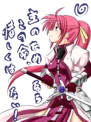   
 
Magical Girl Lyrical Nanoha Velka-Type Knights