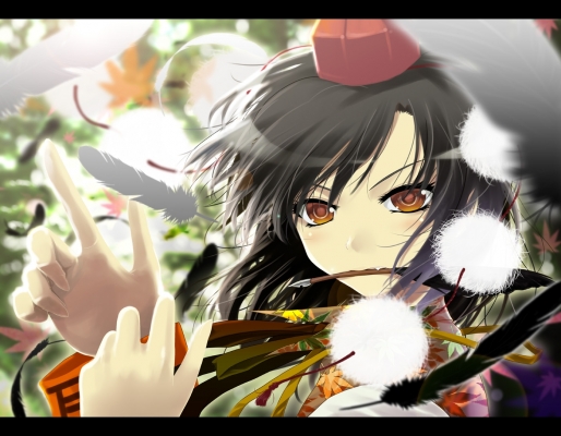 Touhou Aya Shameimaru
Aya Shameimaru
touhou Aya Shameimaru