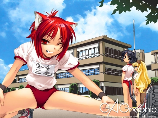 GAGraphic 529
 , ,    GA Graphic
GAGraphic GA Graphic Design Studio  anime *** pixx girls  wallpapers        