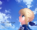 Fate/Stay Night
 Saber