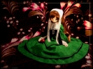   翠星石  Jade Stern
  Rozen Maiden Suiseiseki