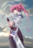   
Magical Girl Lyrical Nanoha Velka-Type Knights