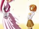 Magical Girl Lyrical Nanoha
Magical Girl Lyrical Nanoha Velka-Type Knights