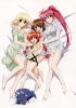   
Magical Girl Lyrical Nanoha Velka-Type Knights