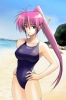 Magical Girl Lyrical Nanoha Signum
 Nanoha Signum