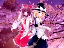 Touhou
touhou