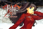 Fate Stay Night
fatestay_night  type-moon rin