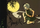 Touhou
touhou Youmu Konpaku