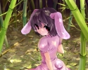 Touhou
touhou animal_ears