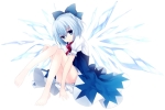 Touhou Cirno
touhou Cirno