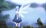 Touhou Cirno
touhou Cirno