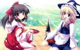 Touhou
touhou