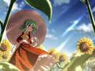 Touhou
touhou 