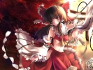 Touhou
touhou Hakurei Reimu