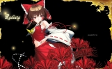 Touhou
touhou Hakurei Reimu