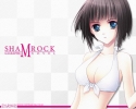 GAGraphic 459
GAGraphic GA Graphic Design Studio  anime *** pixx girls  wallpapers        