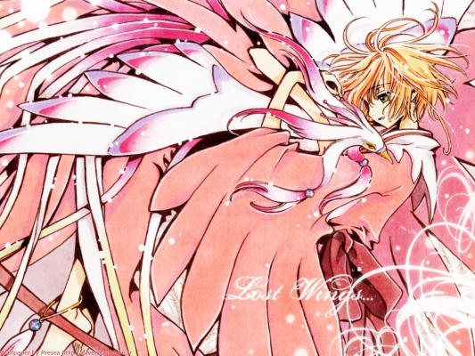 2
Tsubasa Chronicle