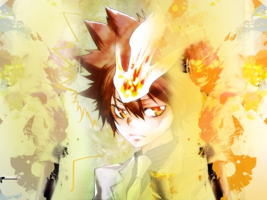 Kateikyoushi Hitman Reborn16
Kateikyoushi Hitman Reborn