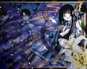 xxxHolic3
xxxHolic