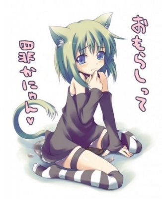 13
neko