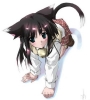 1
neko