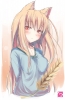 spice_and_wolf4
spice and wolf