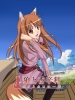 spice_and_wolf22
spice and wolf