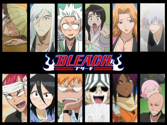 Bleach_Shinigami
Bleach