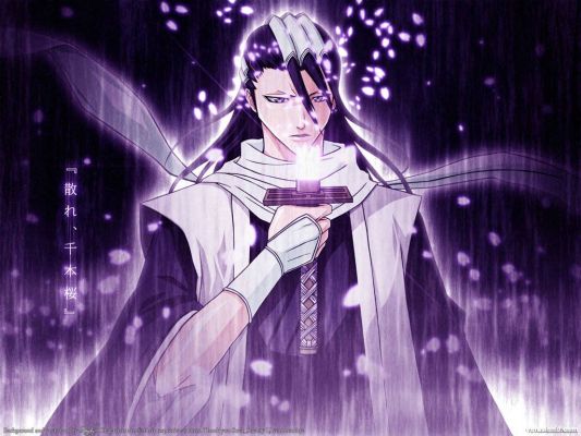 Byakuya Kuchiki
bleach byakuya