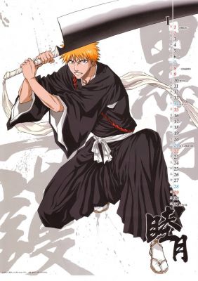   
Bleach