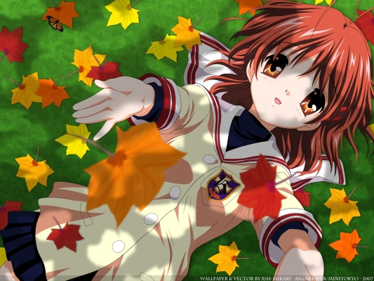 clannad 17
clannad - 