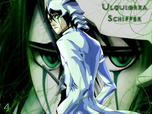 Ulquiorra Schiffer
Bleach