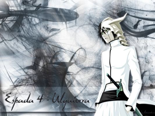 Ulquiorra
Bleach Ulquiorra