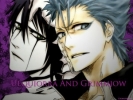 Ulqiorra&GrimmJow
Bleach GrimmJow