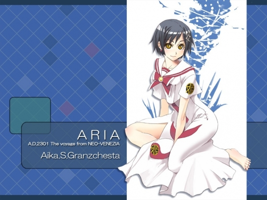 aria
aria