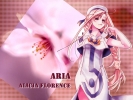 aria
aria