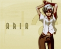 aria
aria