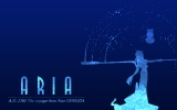 aria
aria