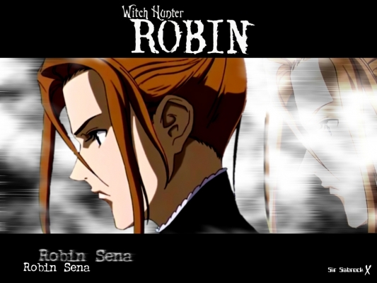 
witch hunter robin    