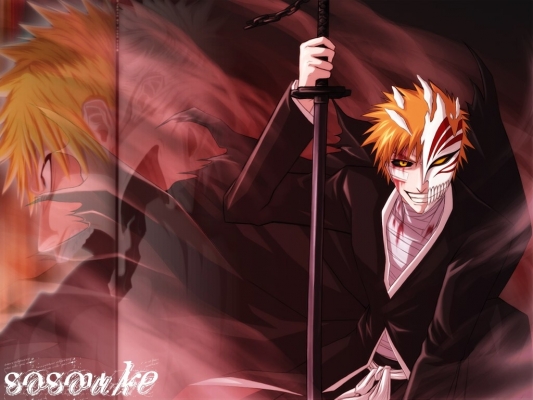 Bleach
bleach 