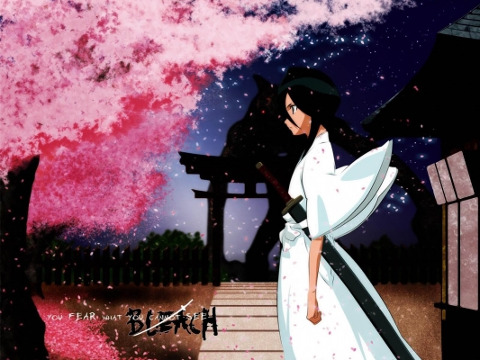 Bleach
bleach 