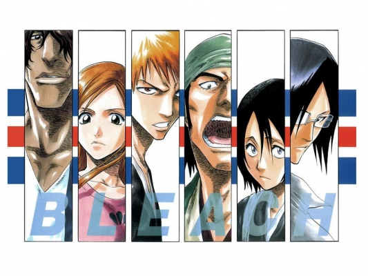 Bleach
bleach 