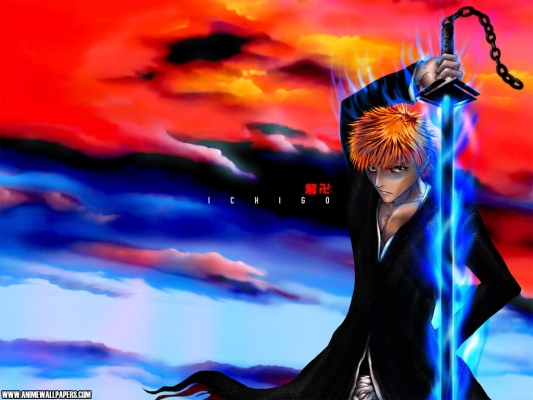 Bleach
bleach 