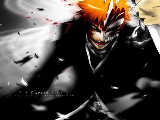 Bleach
bleach 