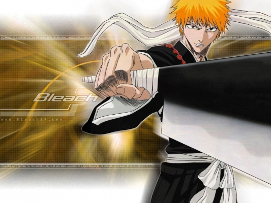 Bleach
bleach 