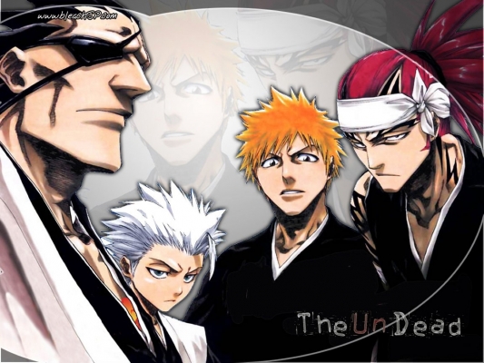 Bleach
bleach 