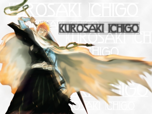 Bleach
bleach 