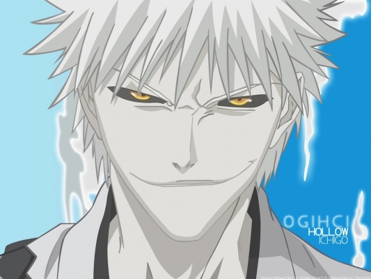 Hollow Ichigo
bleach 